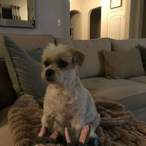 Meet your Posher, Anna